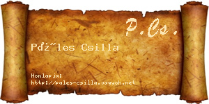 Páles Csilla névjegykártya